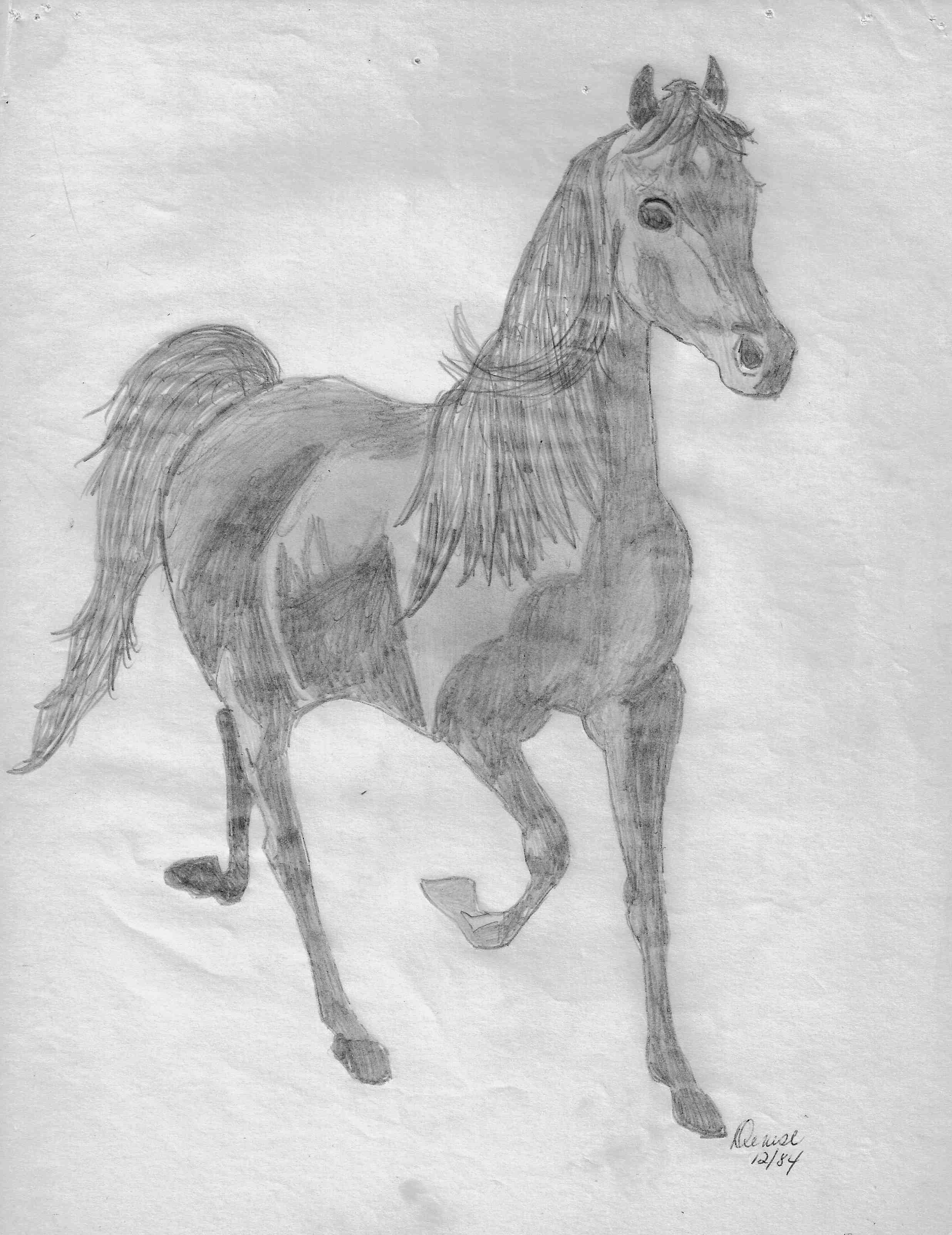 Horse by Denise