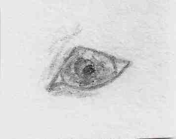 Eye