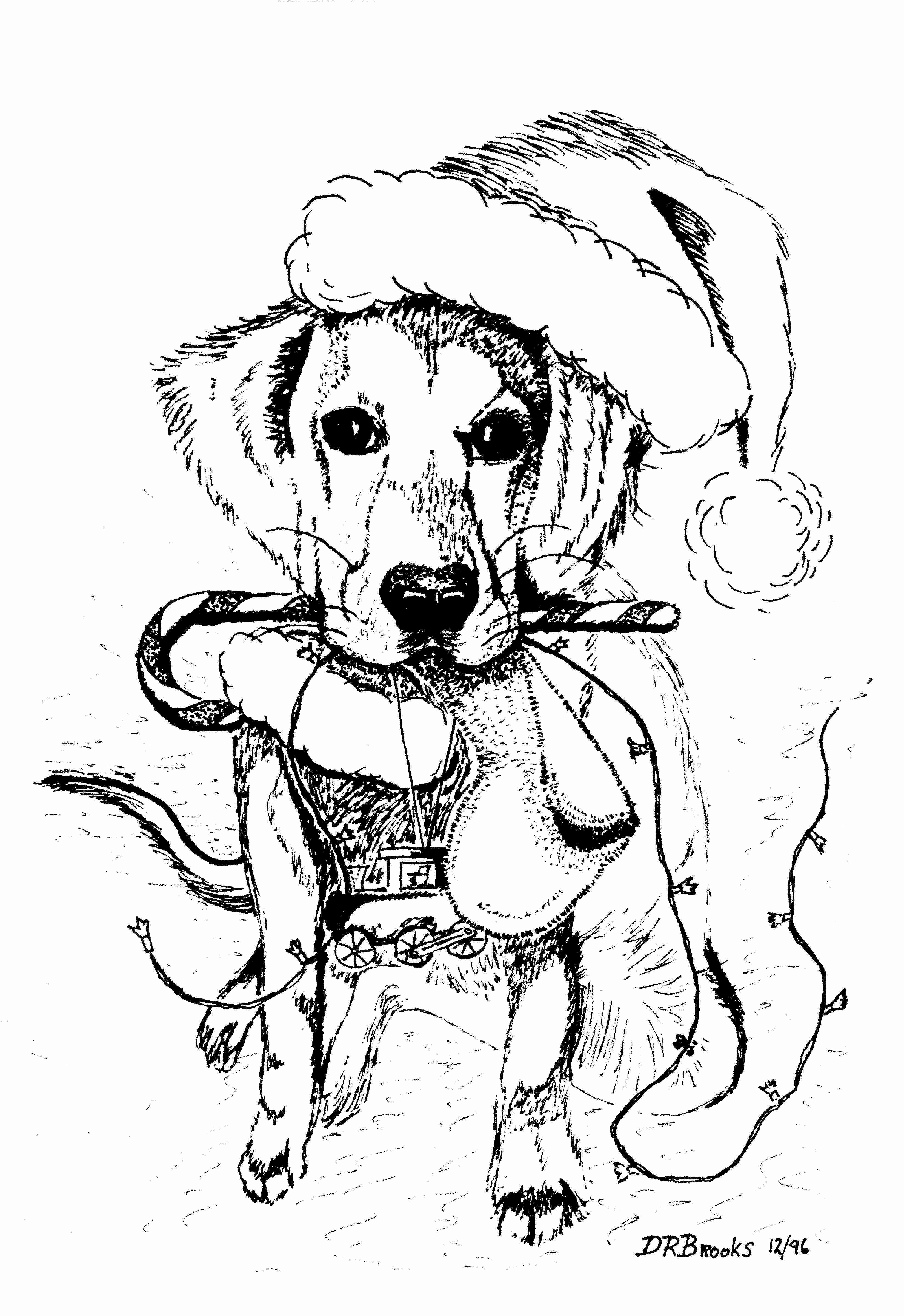 Xmas