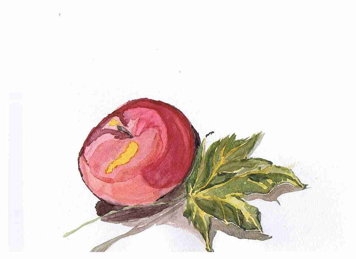 AppleLeaf