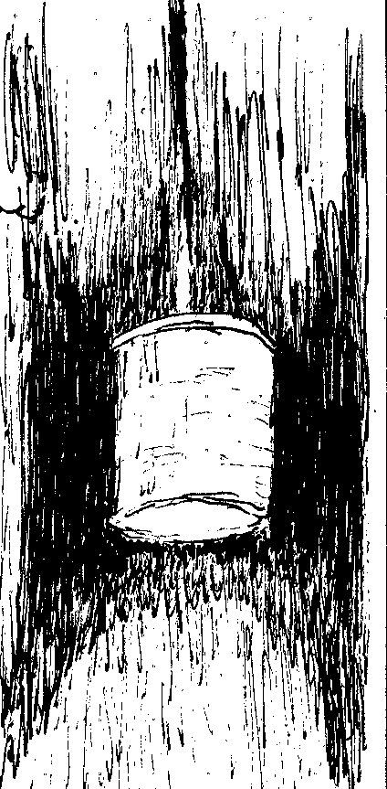 Hanging Light