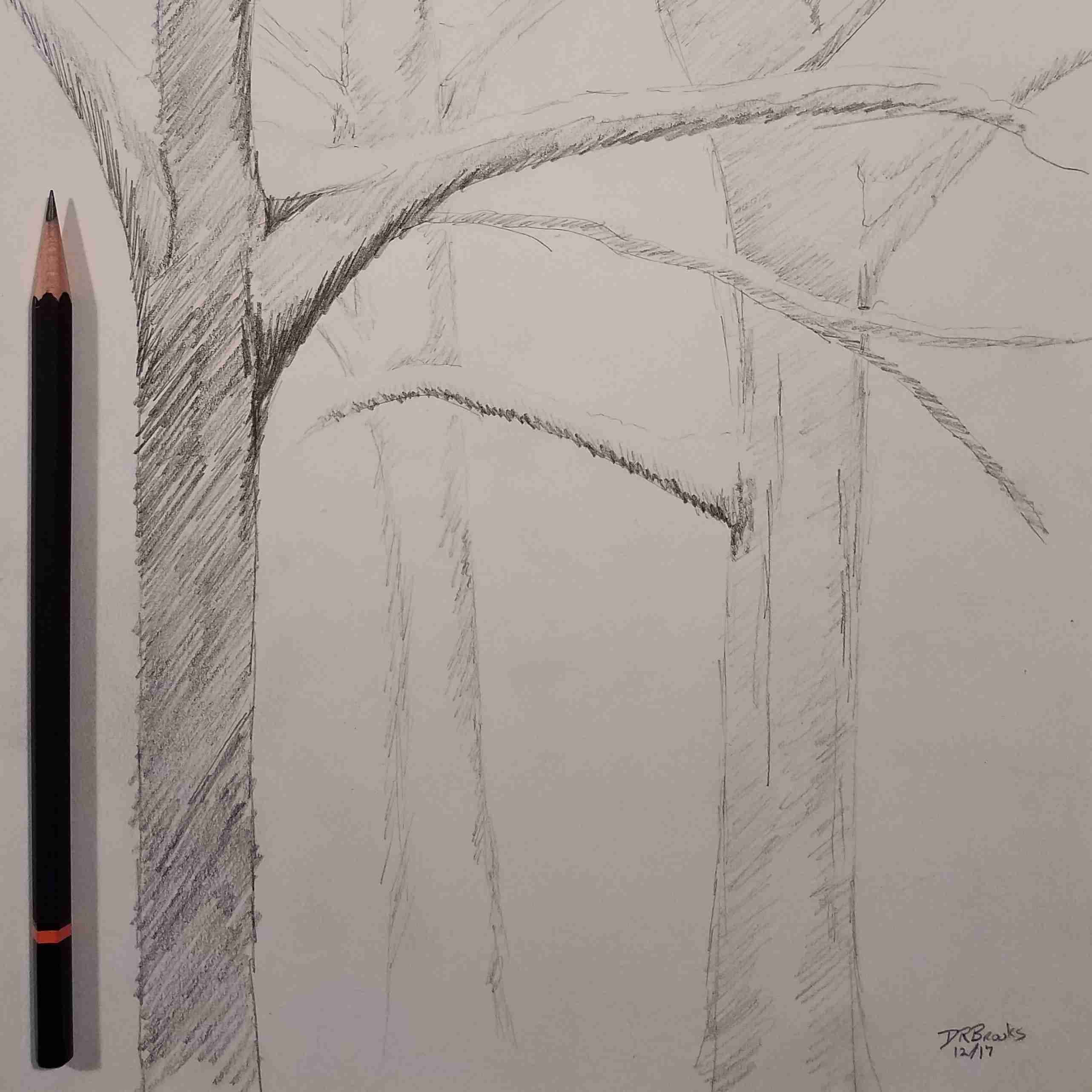 Trees 01