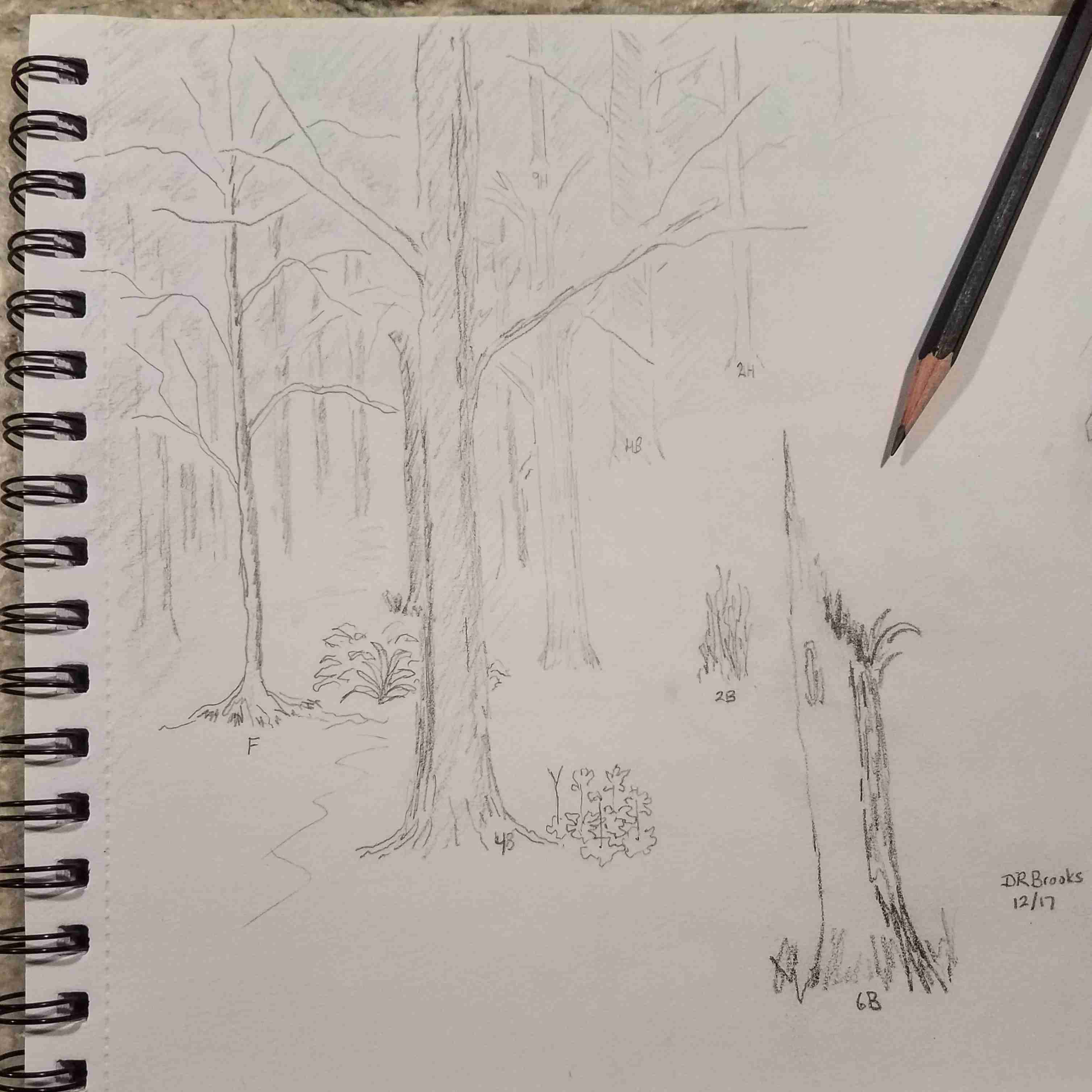 Trees 02
