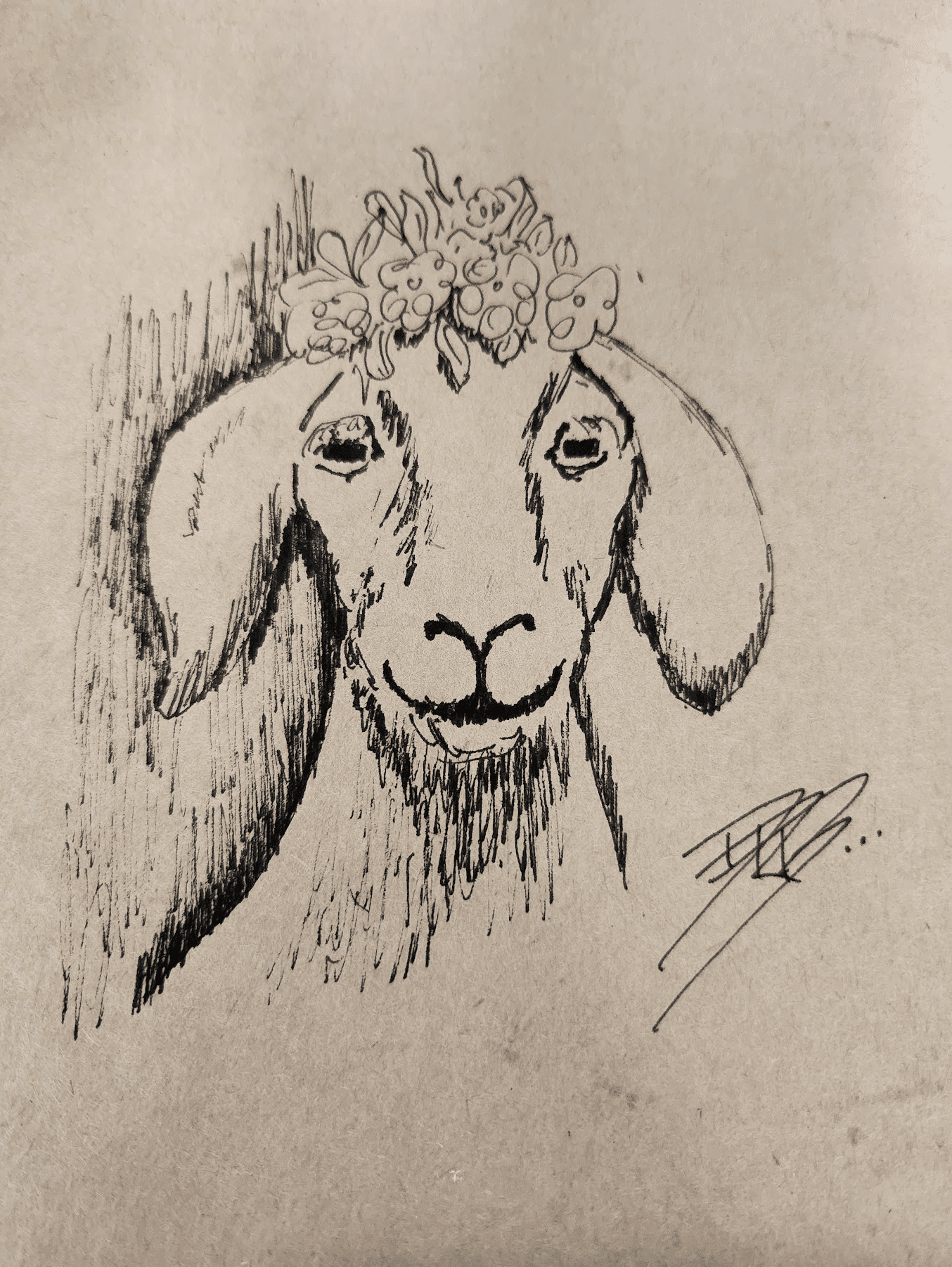 Firestone Goat