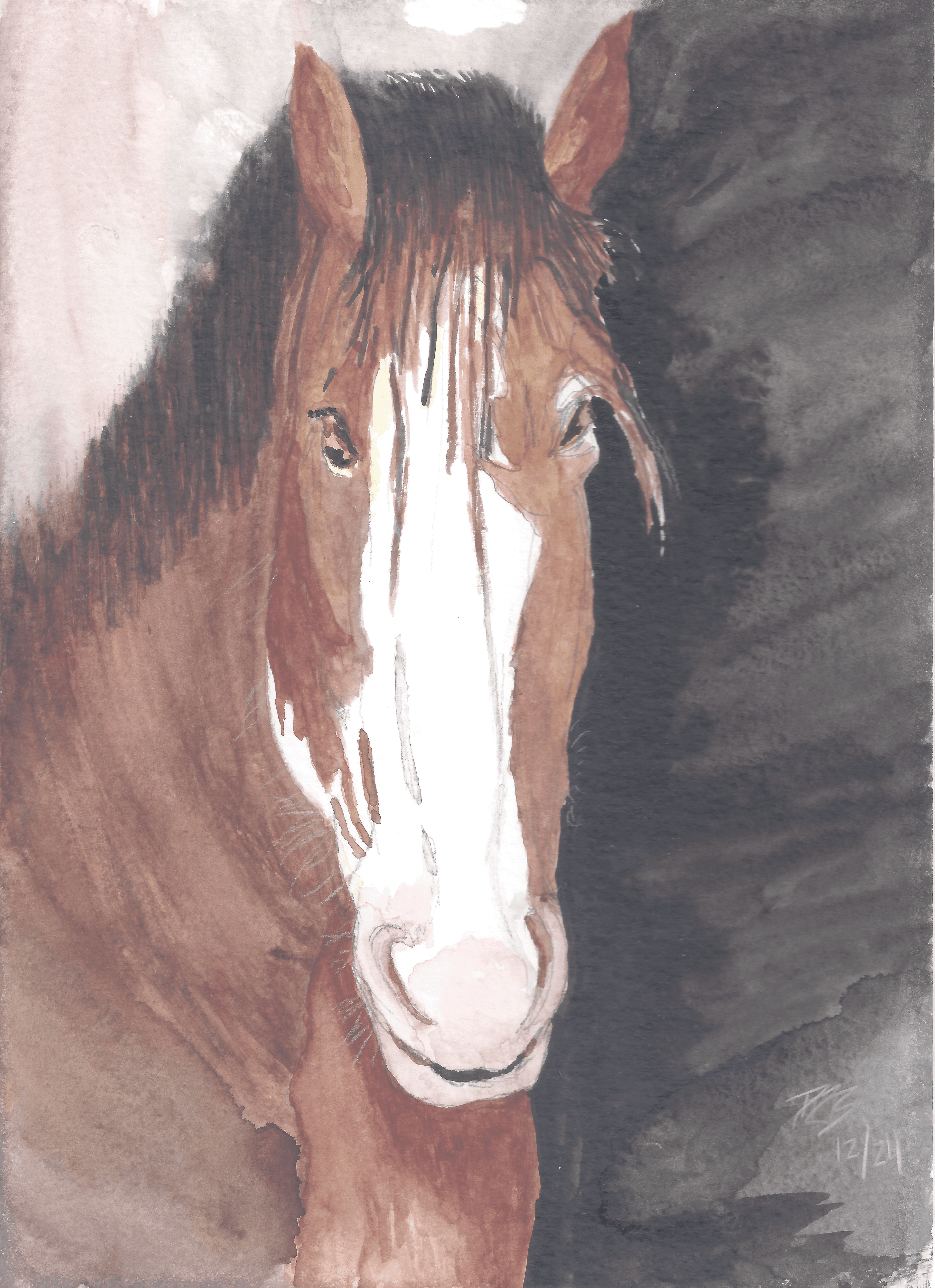 Horse Sam First Try